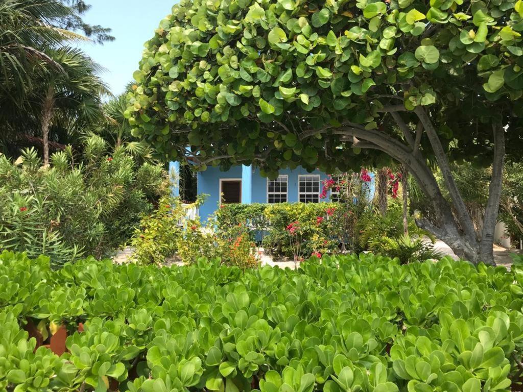 Sandy'S Secret Caye Caulker Esterno foto